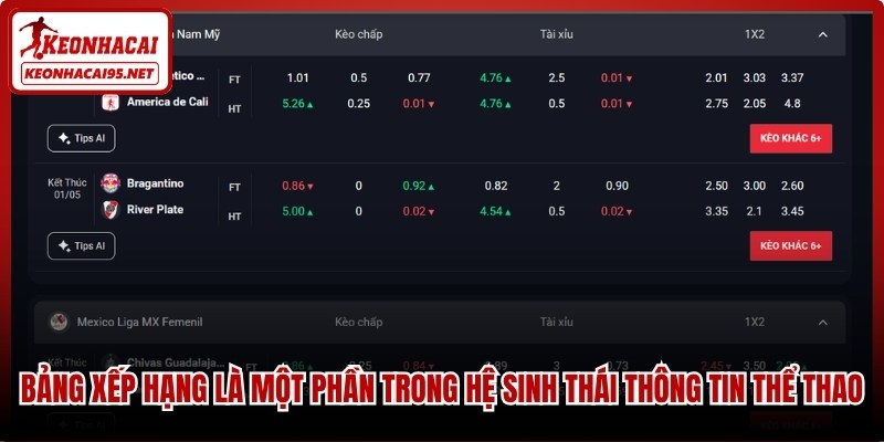 Bảng xếp hạng là một phần trong hệ sinh thái thông tin thể thao chuyên nghiệp