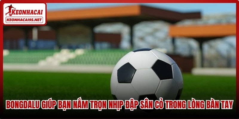 Bongdalu giúp bạn nắm trọn nhịp đập sân cỏ trong lòng bàn tay