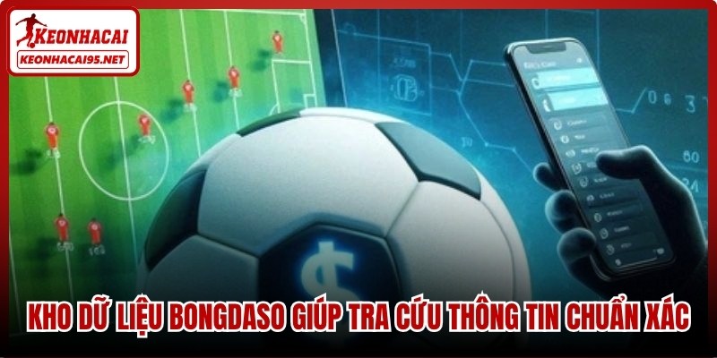 Kho dữ liệu Bongdaso giúp tra cứu thông tin chuẩn xác