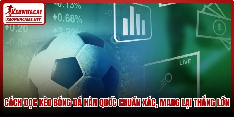 Cách đọc kèo bóng đá Hàn Quốc chuẩn xác, mang lại thắng lớn
