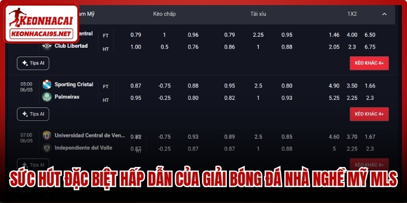 Sức hút đặc biệt hấp dẫn của giải bóng đá nhà nghề Mỹ MLS